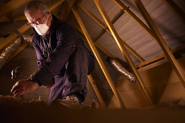 Types of Insulation We Offer in Red Lion, PA